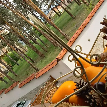 Allegri Padrini комплекс вели хилс Velingrad