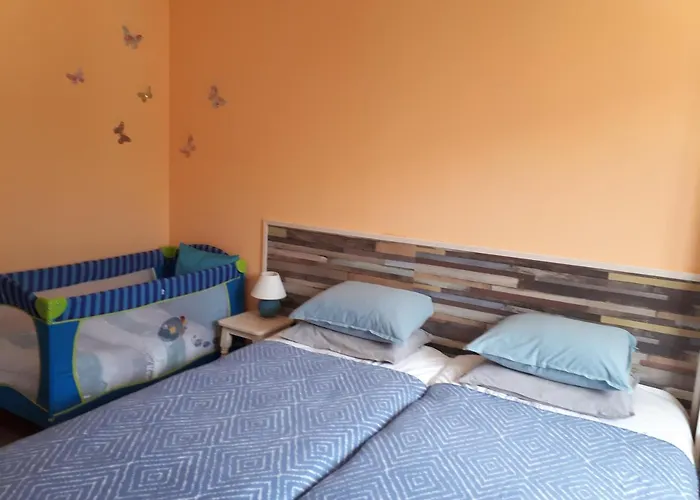 Allegri Padrini комплекс вели хилс 아파트 벨린그래드