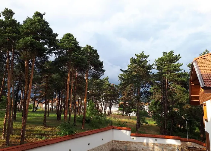 Allegri Padrini комплекс вели хилс *