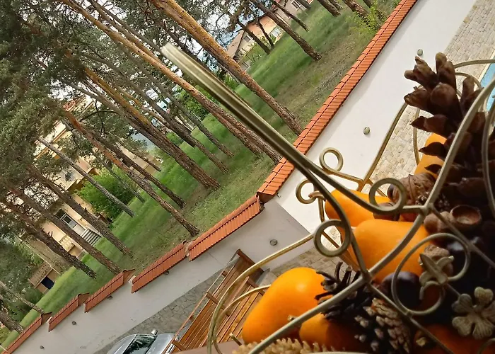 Allegri Padrini комплекс вели хилс 벨린그래드